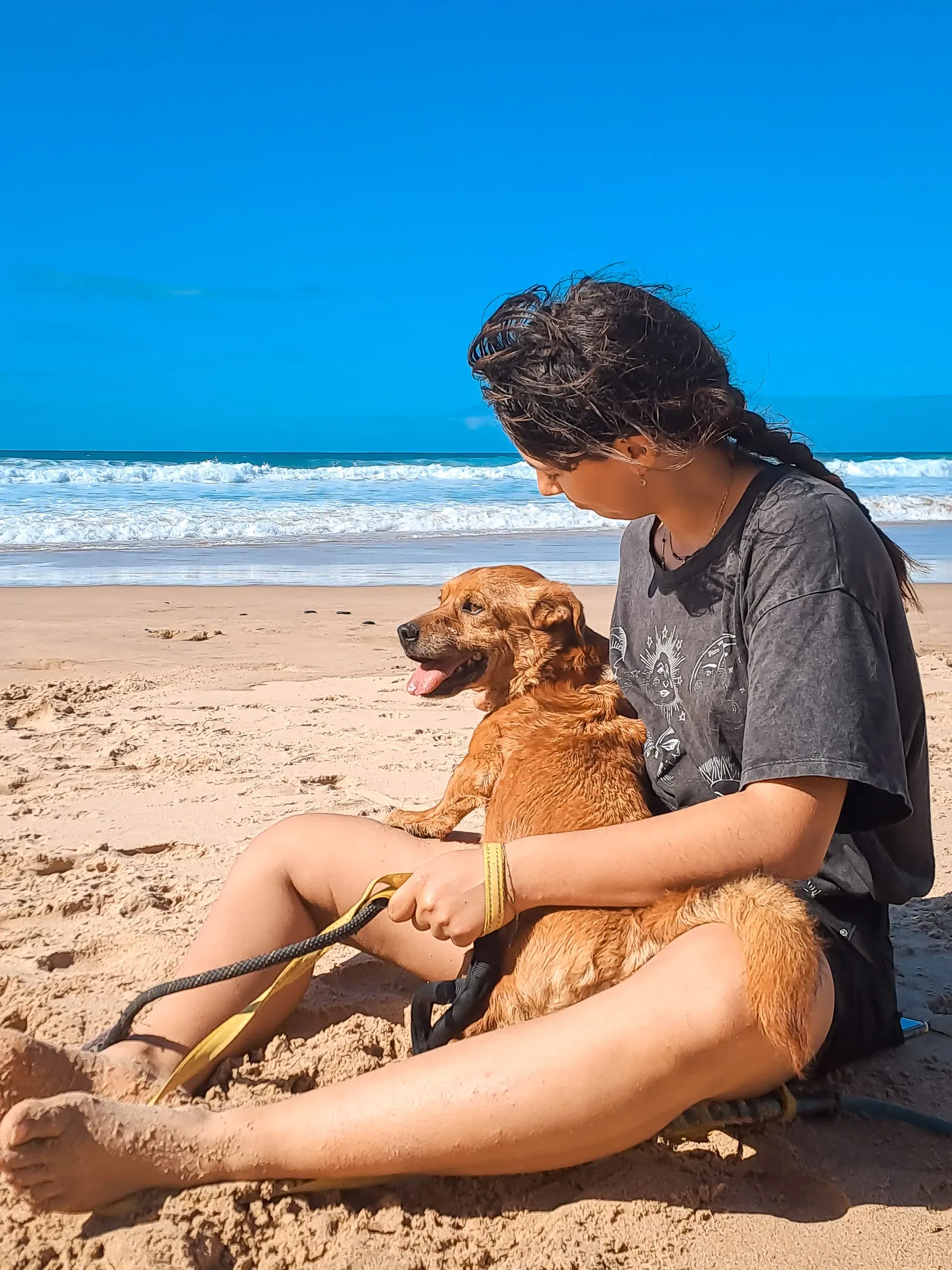 Belong at Mayday Algarve dog sanctuary